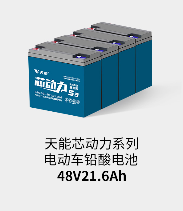 K8ҳ¼48v20ah
